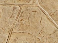 Agusta Gold - Oxford Brown