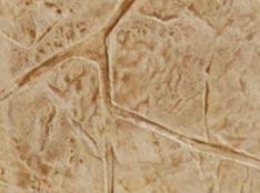 camel - oxford brown