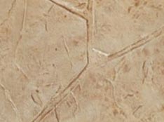 camel - weathered tan